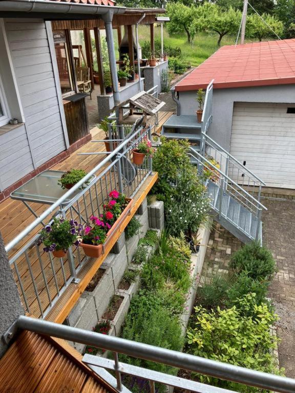 Pension Volgenandt Breitenbach エクステリア 写真
